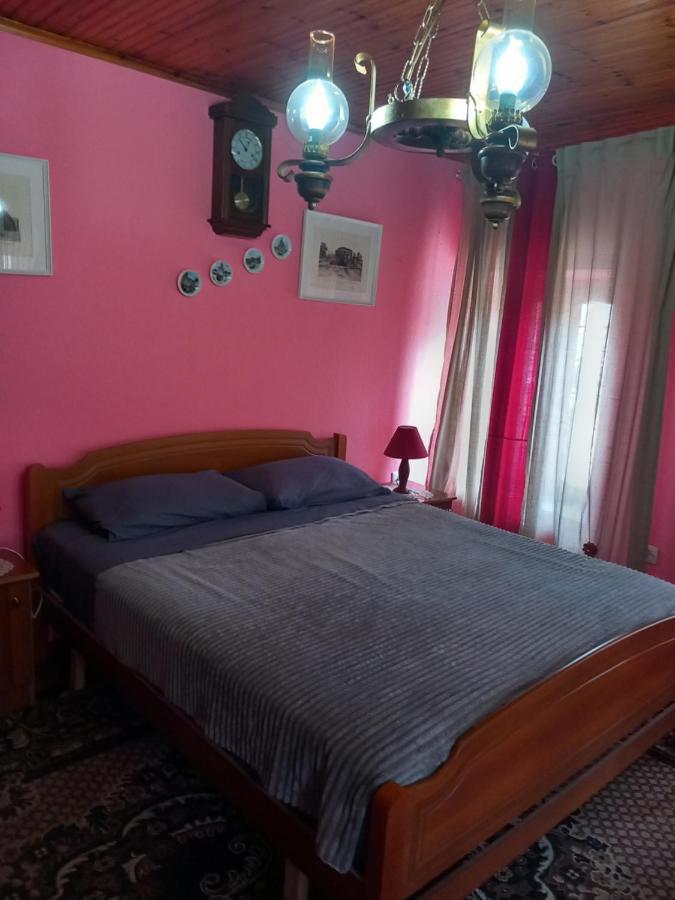 Rooms For Rent Szkodra Zewnętrze zdjęcie